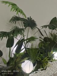 -HEYAN荷妍专业脱毛连锁机构