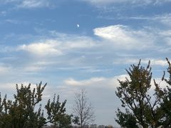 -汉长安城未央宫国家考古遗址公园