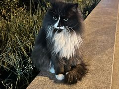 -申德勒加油站西餐厅(日坛路总店)