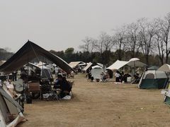 -春花秋色城市公园