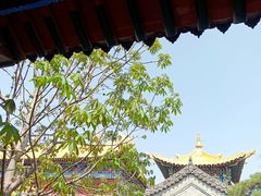 -西安市广仁寺