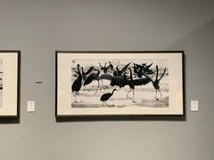 -清华大学艺术博物馆