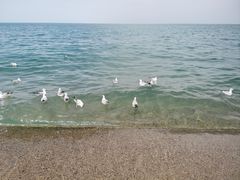 -青海湖国家重点风景名胜区