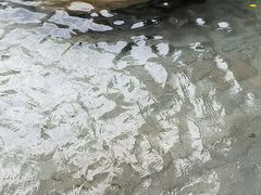 -碧水湾温泉