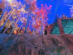 -华夏文旅海洋公园