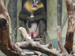 -宁波野生动物园