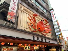 -蟹道乐(道顿堀本店)