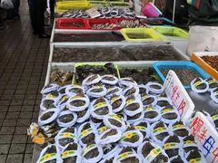 -南沙十九涌渔人码头-南门