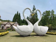 -东平国家森林公园