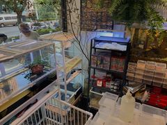 -酷以爬仙阁实体爬宠店·守宫·蜥蜴·专业繁育