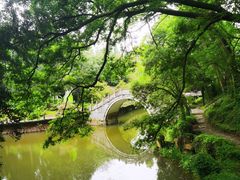 -采石矶景区
