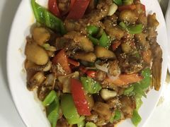 -煲来饱去冷水鱼
