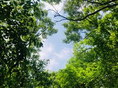 -虞山风景区