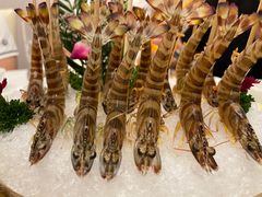 斑节虾-红门金汤·港式火锅(英皇集团中心店)