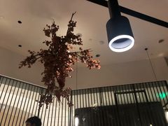 -大头椰·海南椰子鸡火锅(思明万象城店)