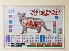 -谐和贝康宠物医院24小时·宠保定点(急重症转诊中心)