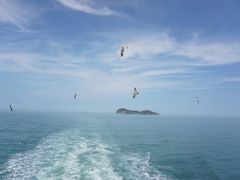 -海驴岛(荣成市)
