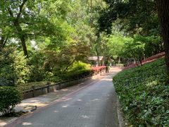 -北极阁公园