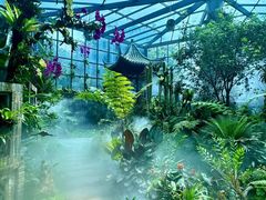 -东莞植物园