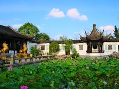 -八大山人梅湖景区