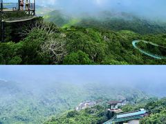 -亚龙湾热带天堂森林公园
