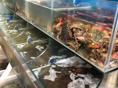 水产区-宾朋海鲜特色美食餐厅·纯手工鲅鱼水饺(兴海路店)