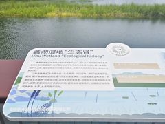 -渤公岛生态公园