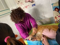 -纳吉亚猫专科动物医院(康都外科中心)