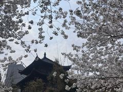 -堤角公园