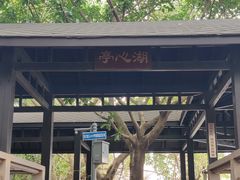 -广东花都湖国家湿地公园