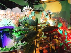 -恐龙探索乐园(磁器口店)