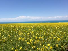 -青海湖国家重点风景名胜区