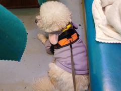 -My Way Town买味堂·东南亚餐厅(亦庄店)