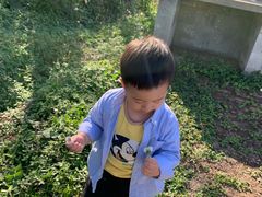 -前小桔亲子创意农场·草莓采摘·露营烧烤