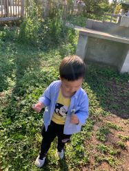 -前小桔亲子创意农场·草莓采摘·露营烧烤