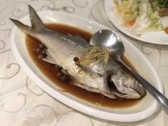 破布子午鱼-光头匠