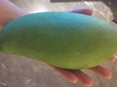 -鸿港海鲜批发市场