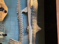 -浙江自然博物院(杭州馆)