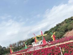 -松山湖梦幻百花洲