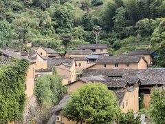 -杨家堂村