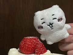 -皈宓·飯