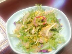 印式减脂蔬菜沙拉-食彩美印度特色美食餐厅·印度料理