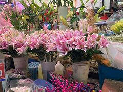 -花鸟鱼虫鲜花绿植市场(玉泉路店)