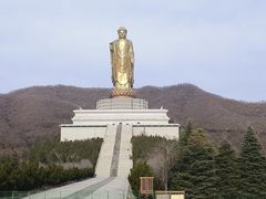 -中原大佛景区