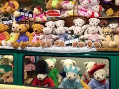 -济州岛泰迪熊博物馆