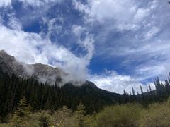 -白马王朗自然风景区