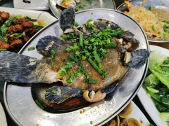 清蒸石斑鱼-巽东海鲜大排档(巽寮湾店)