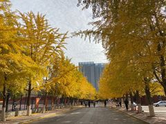 -辽宁大学(崇山校区)