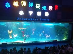 -泉城欧乐堡海洋极地世界