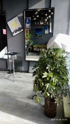 -MOVAN  HAIR莫凡匠人发型屋